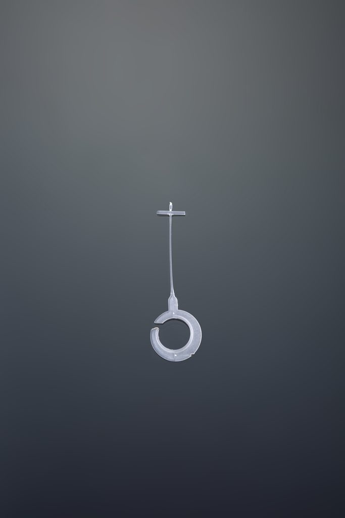 Ring hook tag pin
