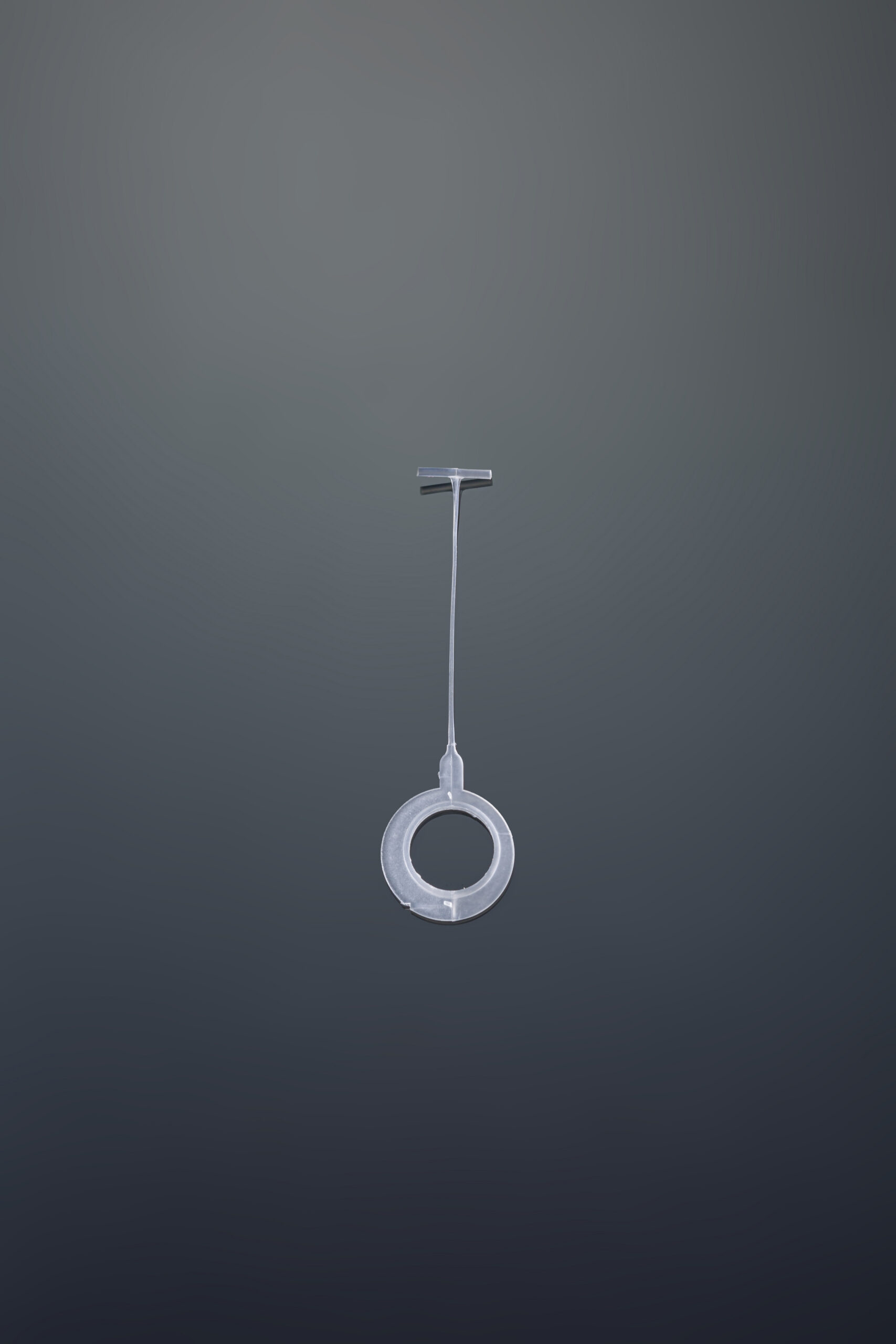 Circle Hook Tag Pin product photo